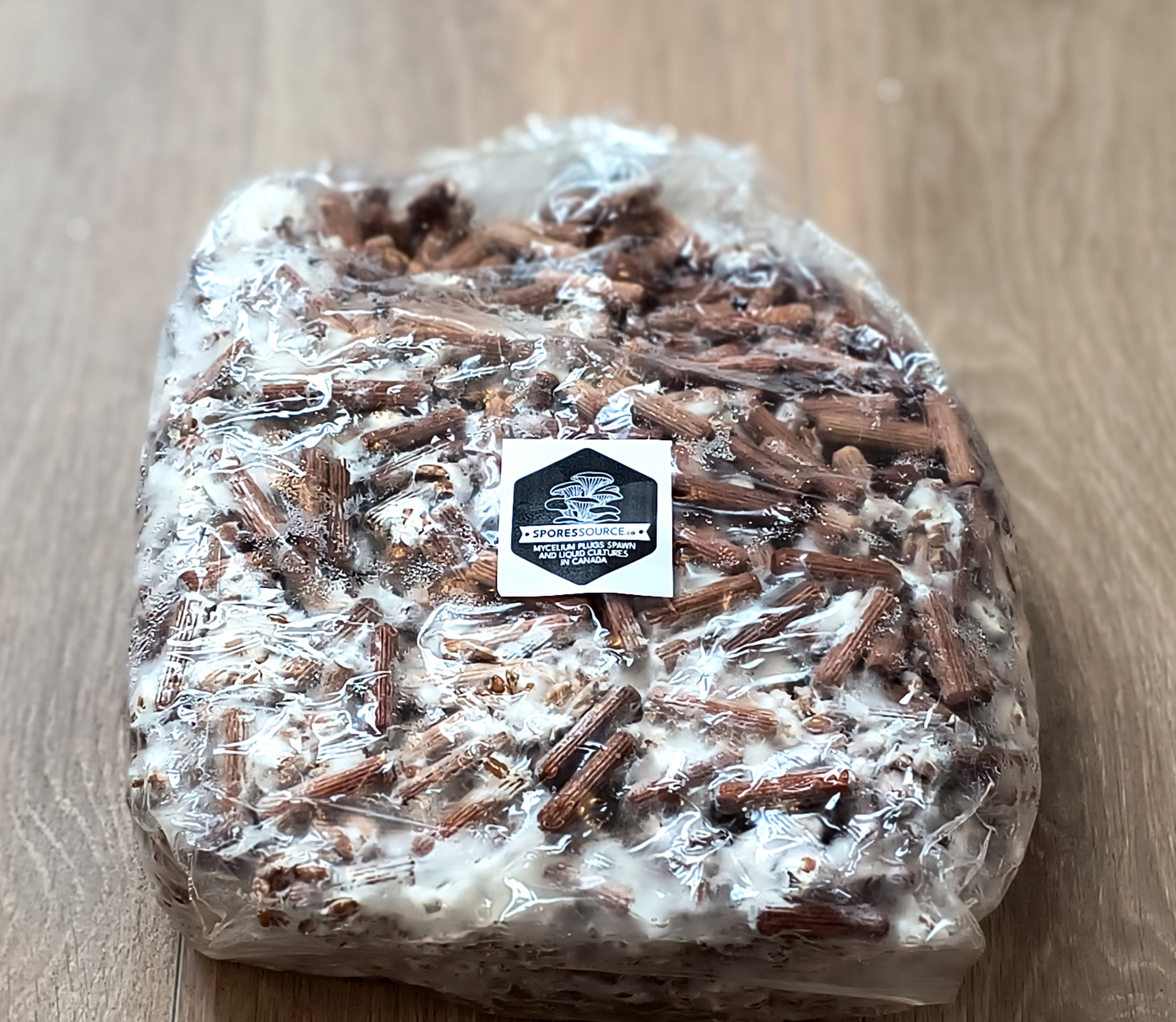 1000 brown oyster mushroom mycelium plugs bag