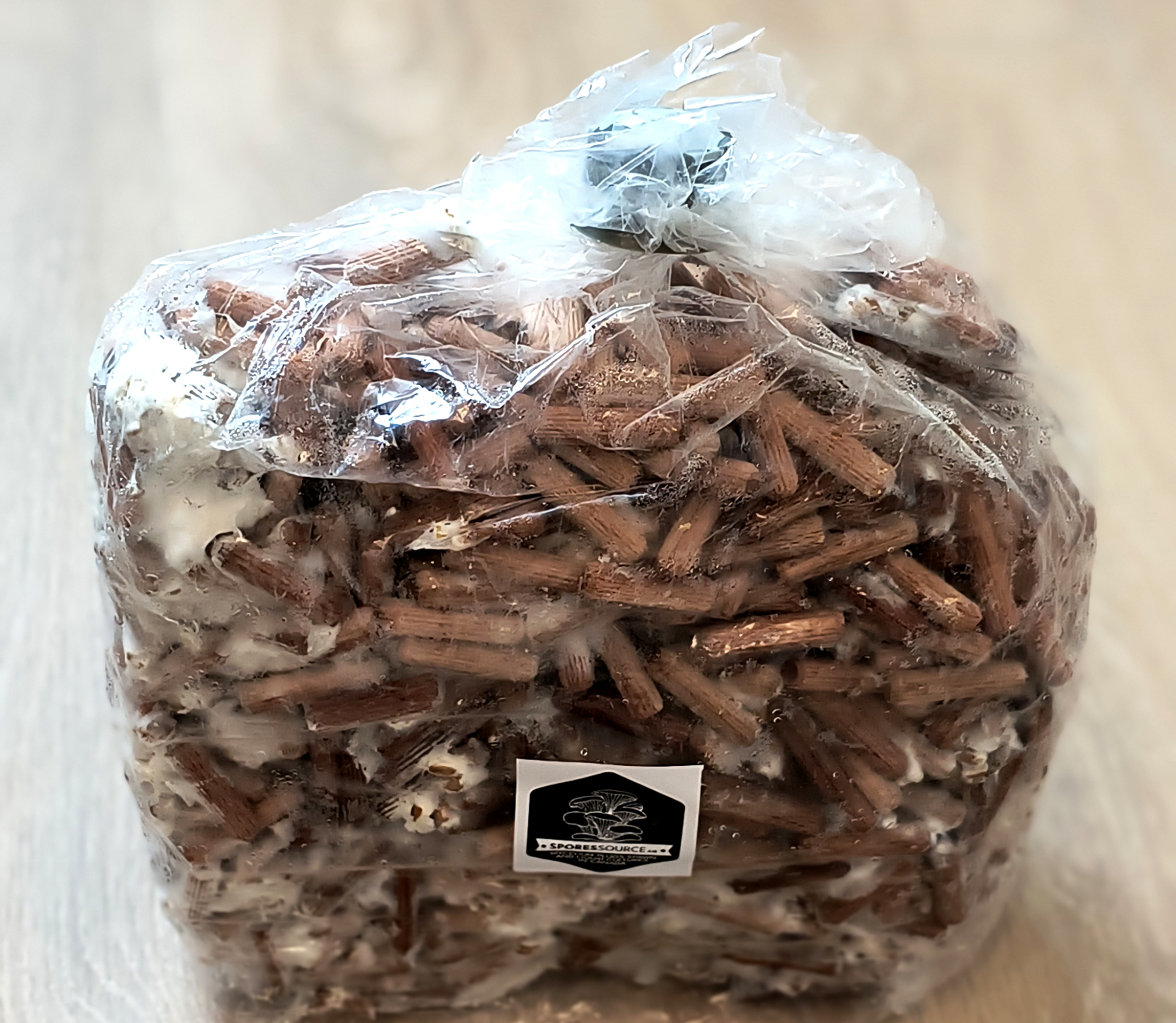 1000 brown oyster mushroom mycelium plugs bag