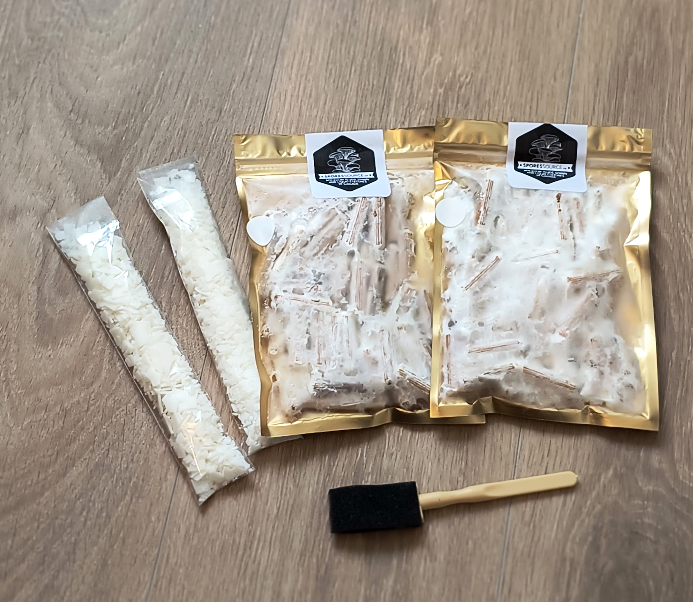 Goujons de mycélium de champignons Pioppino en sac