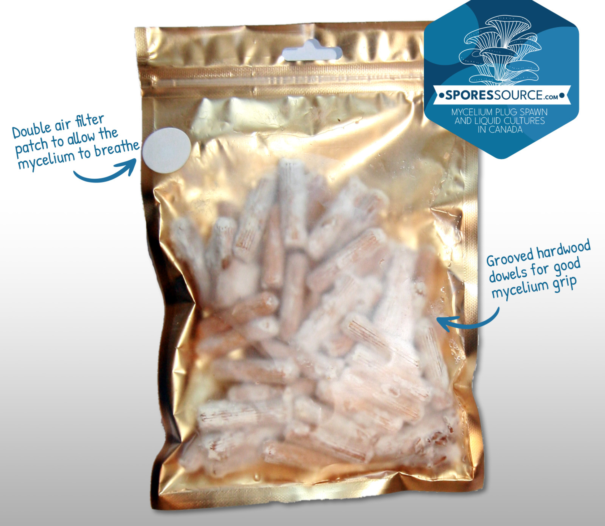 Sac scellée de goujons inoculés de mycélium de pleurotes