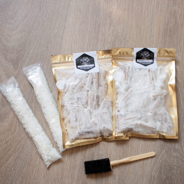Shitake mycelium plugs spawn kit