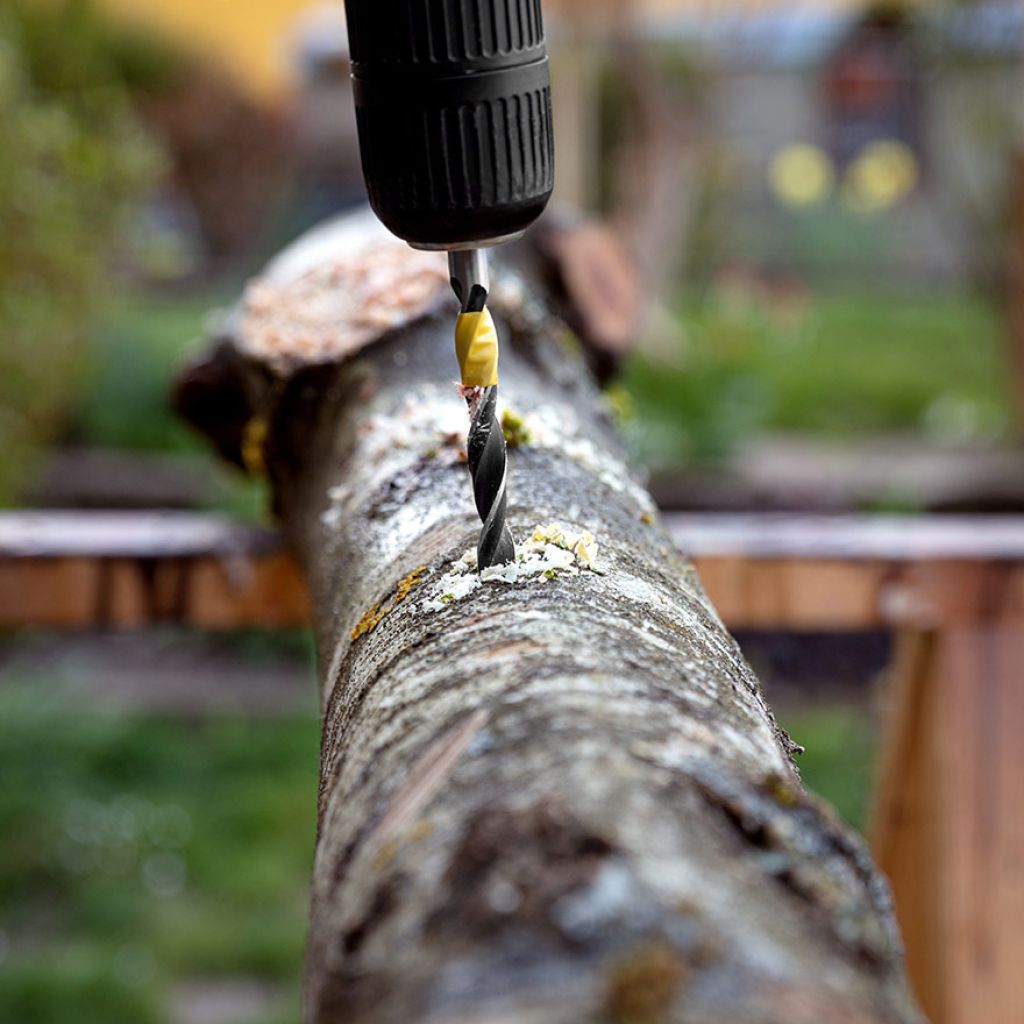 Learn how to use mushroom plugs Learn how to use mushroom plugs