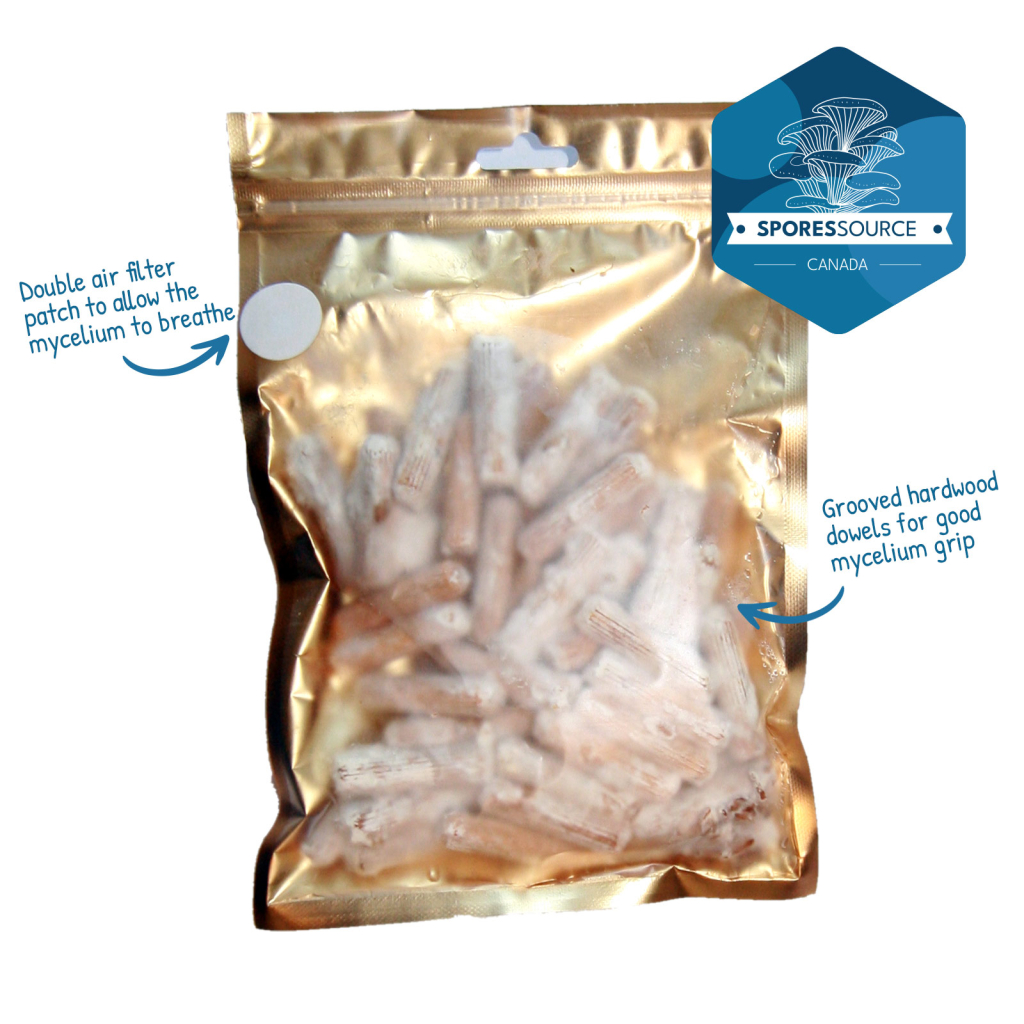 Mushroom plugs in a sealed bag Mushroom plugs in a sealed bag