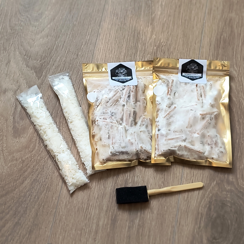 Lion's mane mushroom mycelium plug spawn kit